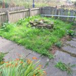 48 Hawthorn Terrace Garden